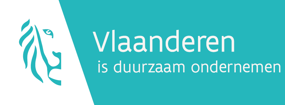 Logo WSE Vlaanderen is duurzaam ondernemen 1